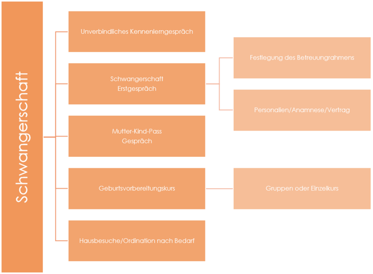 Ablauf der Betreuung während der Schwangerschaft